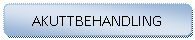 Avrundet rektangel: AKUTTBEHANDLING